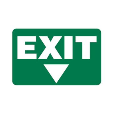 Arrow Down Picto Exit Sign - 300mm (W) x 180mm (H), Luminous Polypropylene